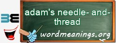 WordMeaning blackboard for adam's needle-and-thread